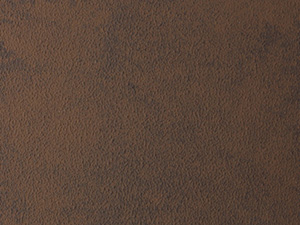 BFR-221/FFR-221