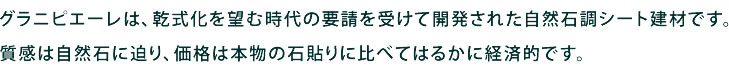 グラニピエーレは、乾式化を望む時代の要請を受けて開発された自然石調シート建材です。