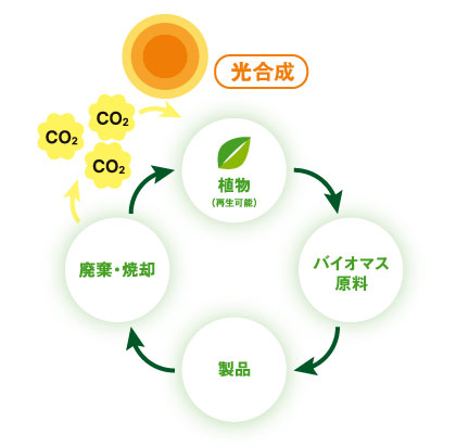 バイオマス原料のカーボンニュートラル図解