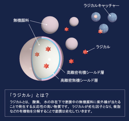 エスケーバイオマス無機のラジカルコントロール技術の図解とラジカルについての説明