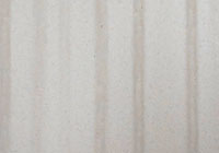 汎用塗料を屋外に6ヶ⽉暴露させた際の表面性状