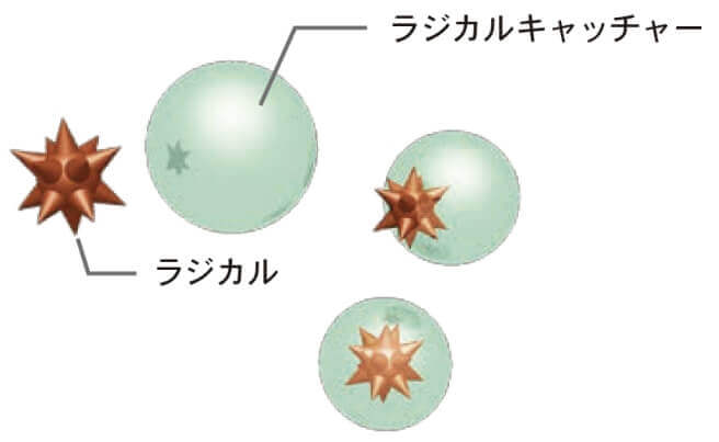 ラジカルキャッチャー